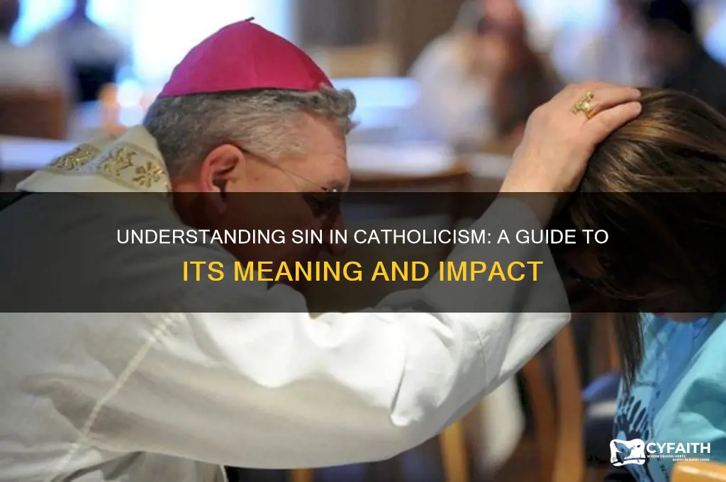 what is sin catholic