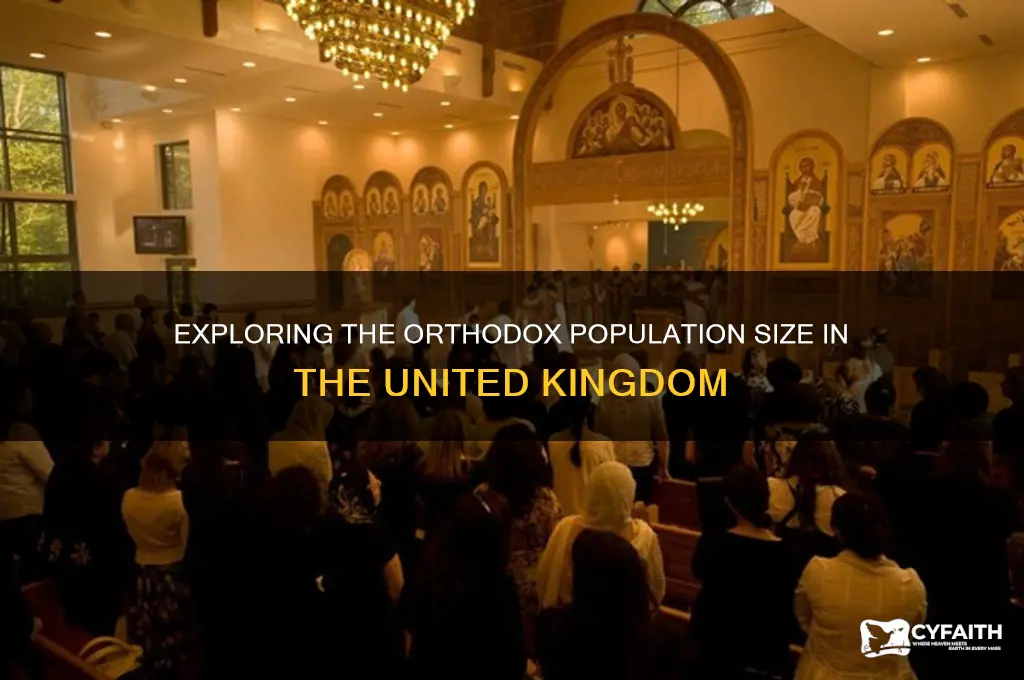 what is size of orthodox population in uk