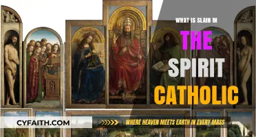 Understanding Slain in the Spirit: Catholic Perspective and Interpretation