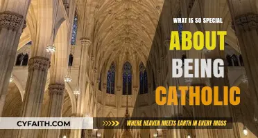 The Unique Beauty and Richness of Catholic Faith Explored