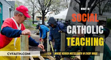 Understanding Social Catholic Teaching: Faith, Justice, and Community in Action
