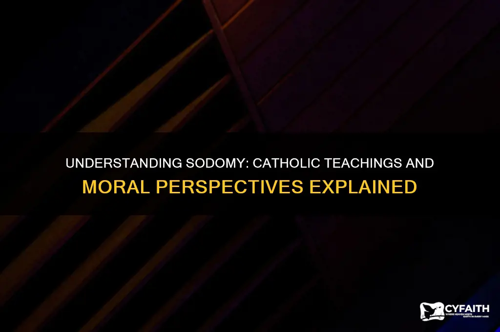 what is sodomy catholic answers
