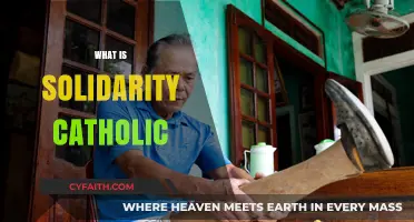 Understanding Solidarity in Catholic Teachings: Principles and Practices Explained