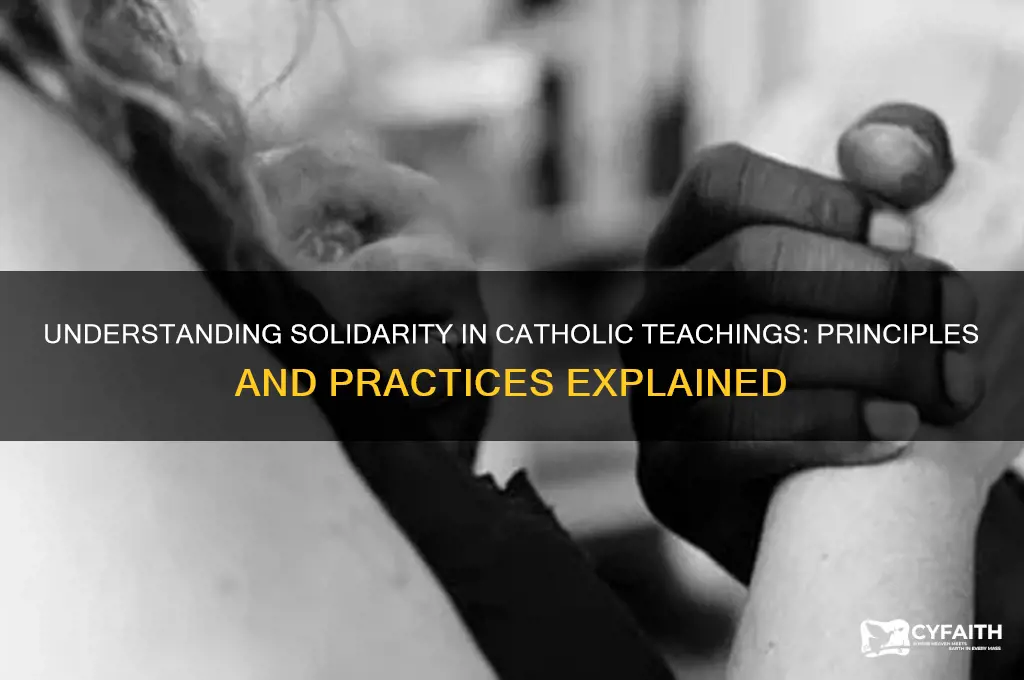 what is solidarity catholic