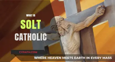 Understanding the Solt Catholic Identity: Faith, Mission, and Community
