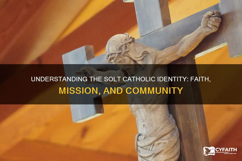what is solt catholic