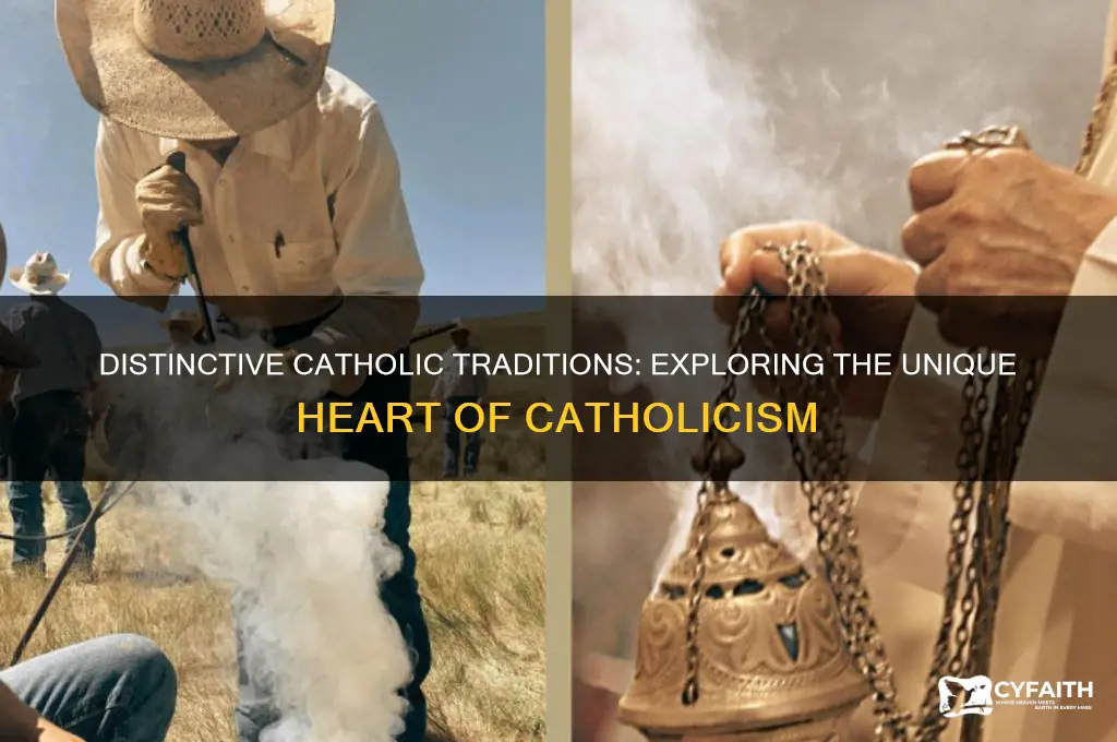 what is something unique about catholic religion