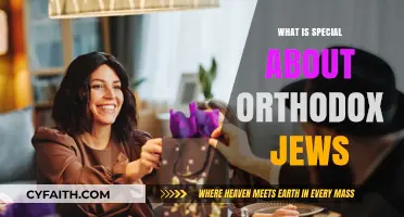 Orthodox Jews: Unique Traditions, Faith, and Cultural Identity Explained