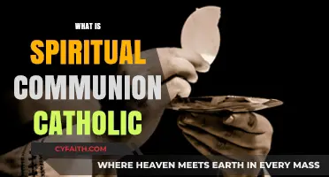 Understanding Spiritual Communion in the Catholic Faith: A Guide