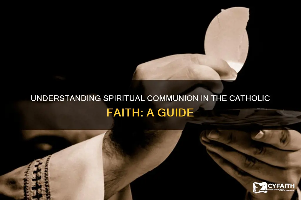what is spiritual communion catholic