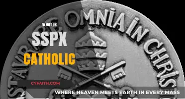 Understanding the SSPX: A Traditionalist Catholic Movement Explained