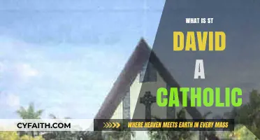 Is St. David a Catholic Saint? Exploring His Legacy and Faith