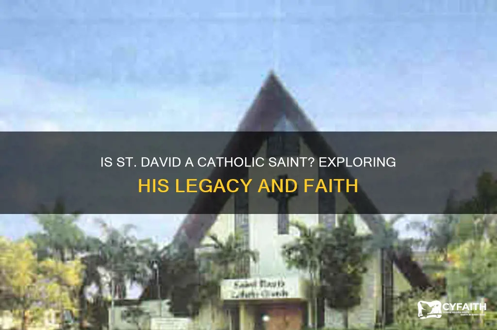 what is st david a catholic