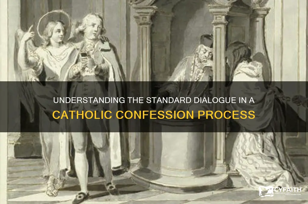 what is standard dialogue for a catholic coffesion