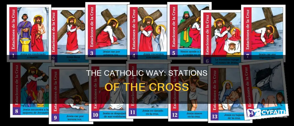 what is stations of the cross catholic