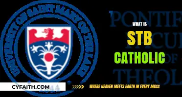 Understanding STB Catholic: A Comprehensive Guide to Its Meaning and Significance