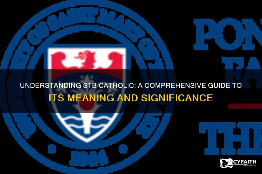 what is stb catholic