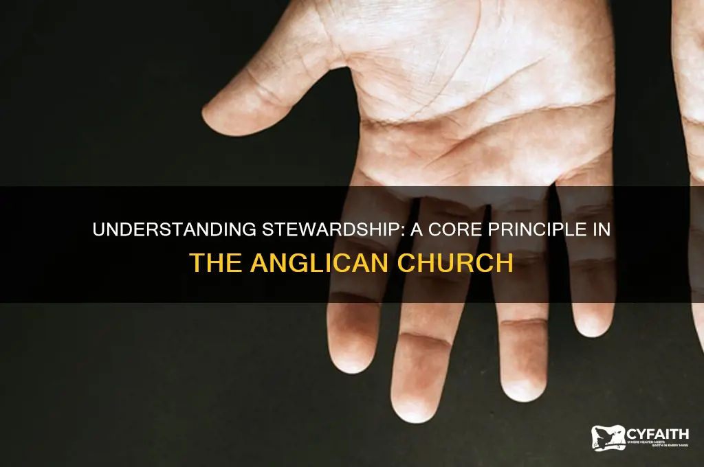 what is stewardship in the anglican church