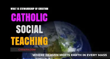 Catholic Social Teaching: Stewardship of Creation Explained and Applied