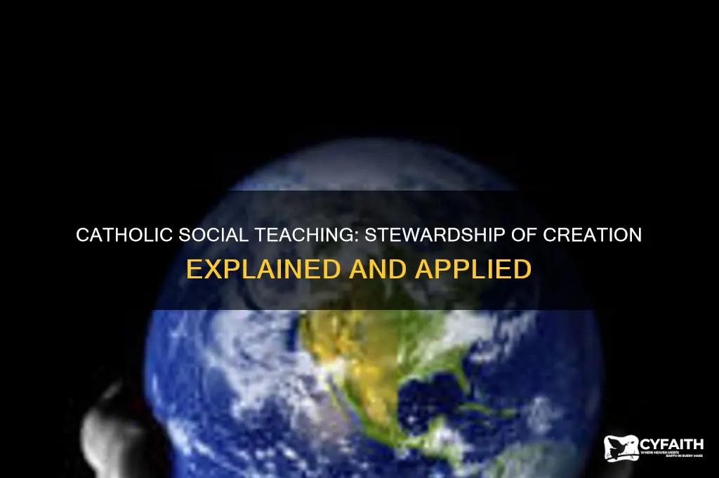 what is stewardship of creation catholic social teaching