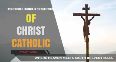 Unfulfilled Aspects of Christ's Sufferings in Catholic Theology Explored