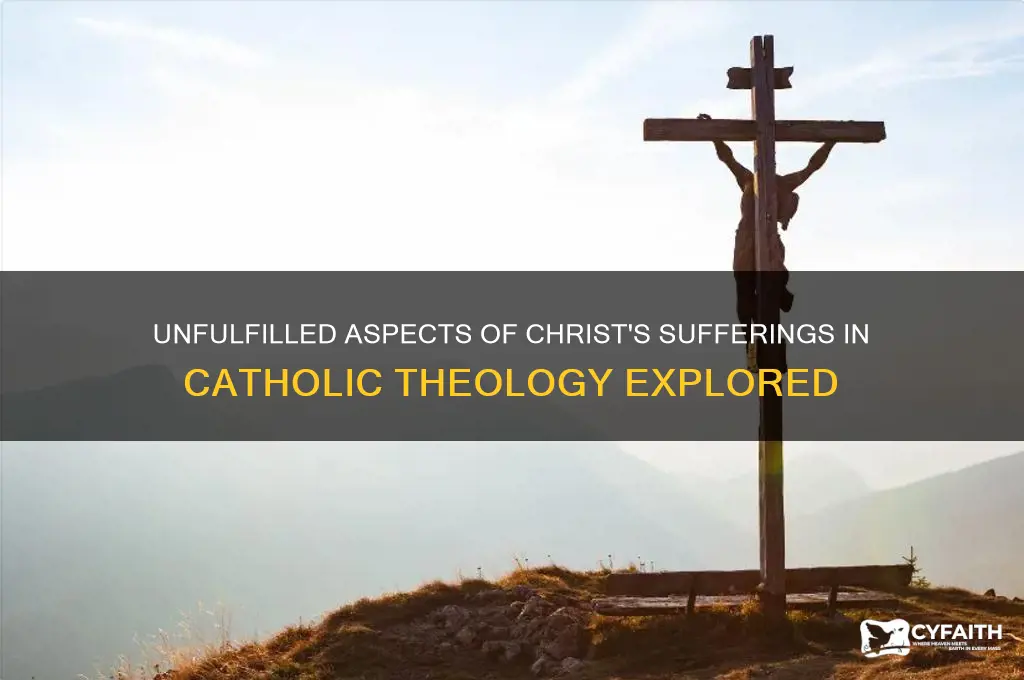what is still lacking in the sufferings of christ catholic