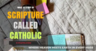 Exploring Catholic Scripture Study: Understanding Sacred Texts and Traditions