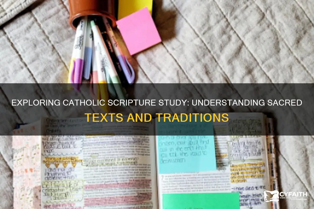 what is study of scripture called catholic