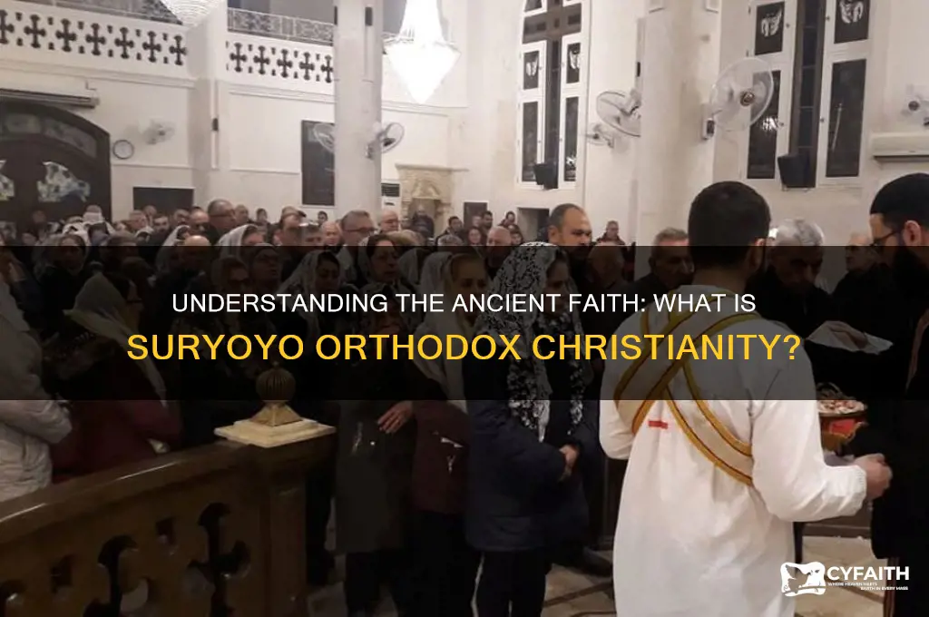 what is suryoyo orthodox