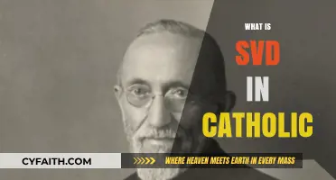 Understanding SVD: The Society of the Divine Word in Catholicism
