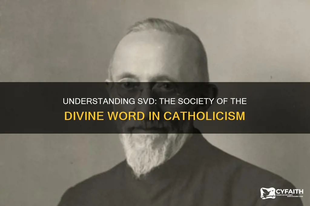 what is svd in catholic