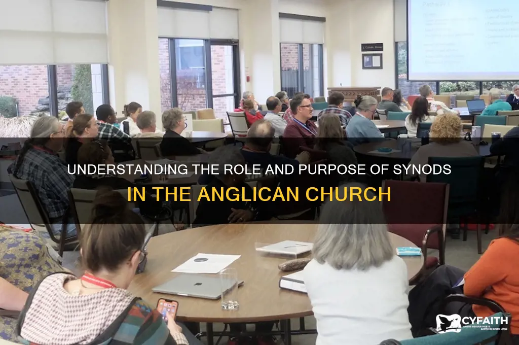 what is synod in anglican church
