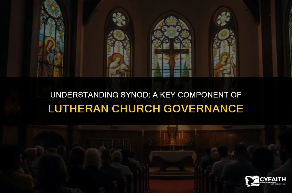 what is synod in the lutheran churhc