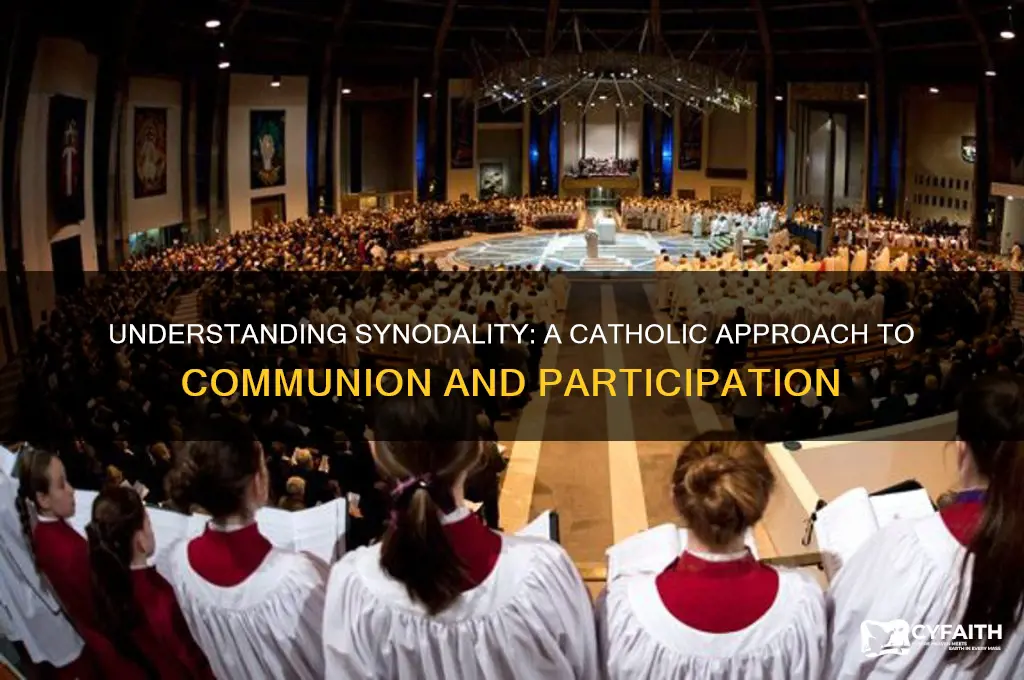 what is synodality catholic