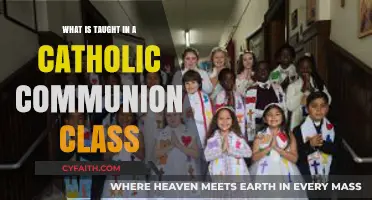 Understanding Catholic Communion: Lessons and Teachings in Preparation Classes