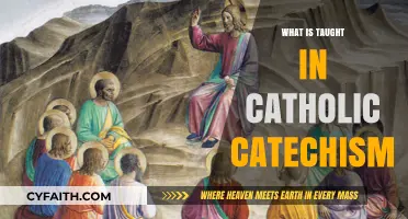 Exploring Catholic Catechism: Core Teachings and Faith Foundations Explained