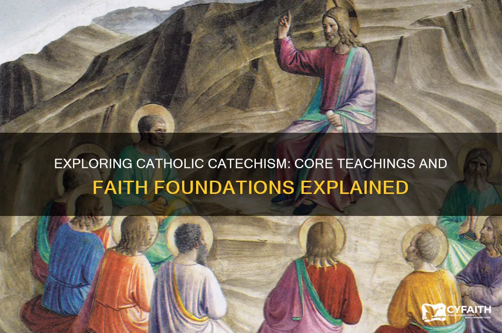 what is taught in catholic catechism