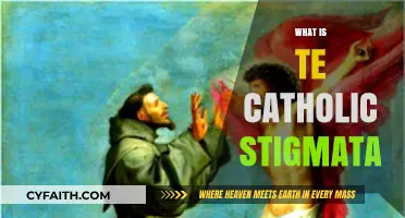 Understanding the Catholic Stigmata: Sacred Wounds and Spiritual Significance