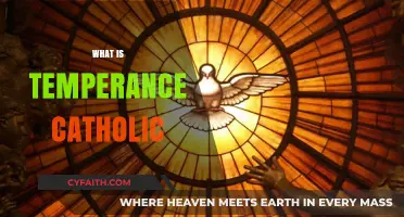 Understanding Temperance: A Catholic Perspective on Virtue and Self-Control