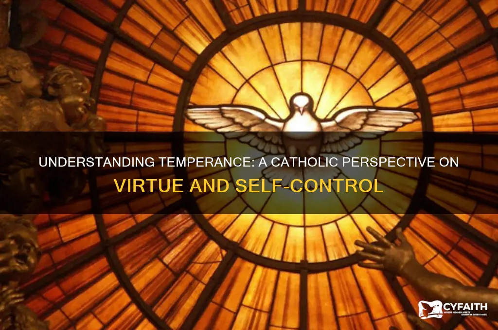 what is temperance catholic