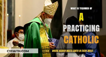 Practicing Catholic Essentials: Faith, Sacraments, and Moral Living Explained