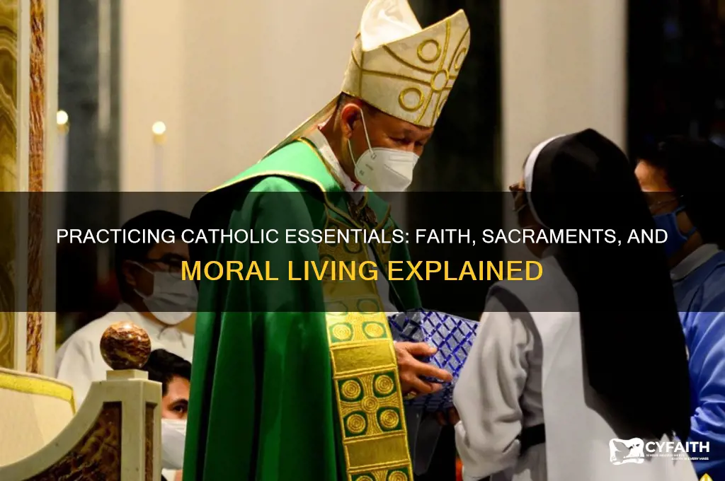 what is tequired of a practicing catholic