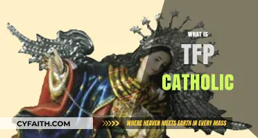 Understanding TFP Catholic: Mission, Values, and Impact Explained