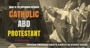 Exploring the Core Differences Between Catholic and Protestant Faiths