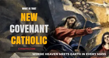 Understanding the New Covenant Catholic Movement: Beliefs and Practices