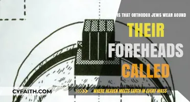 Understanding the Tefillin: Orthodox Jewish Forehead Wear Explained