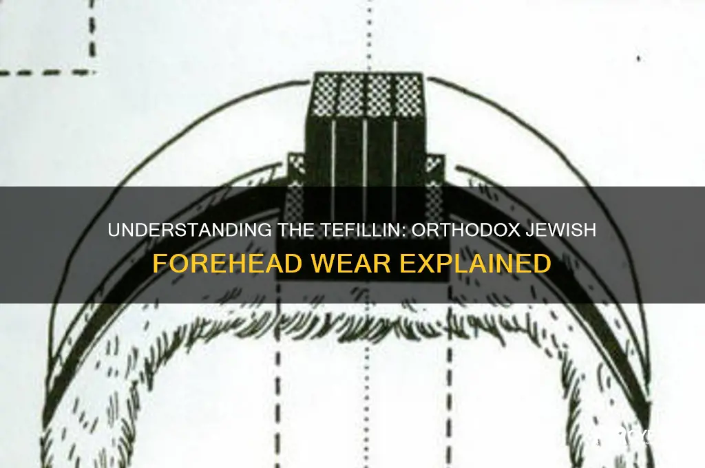 what is that orthodox jews wear aound their foreheads called