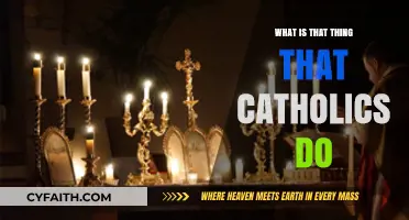 Understanding Catholic Practices: Exploring Traditions and Rituals of the Faith