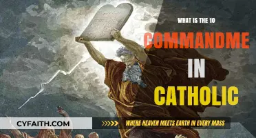 Understanding the Sacred Ten Commandments in Catholic Faith and Practice