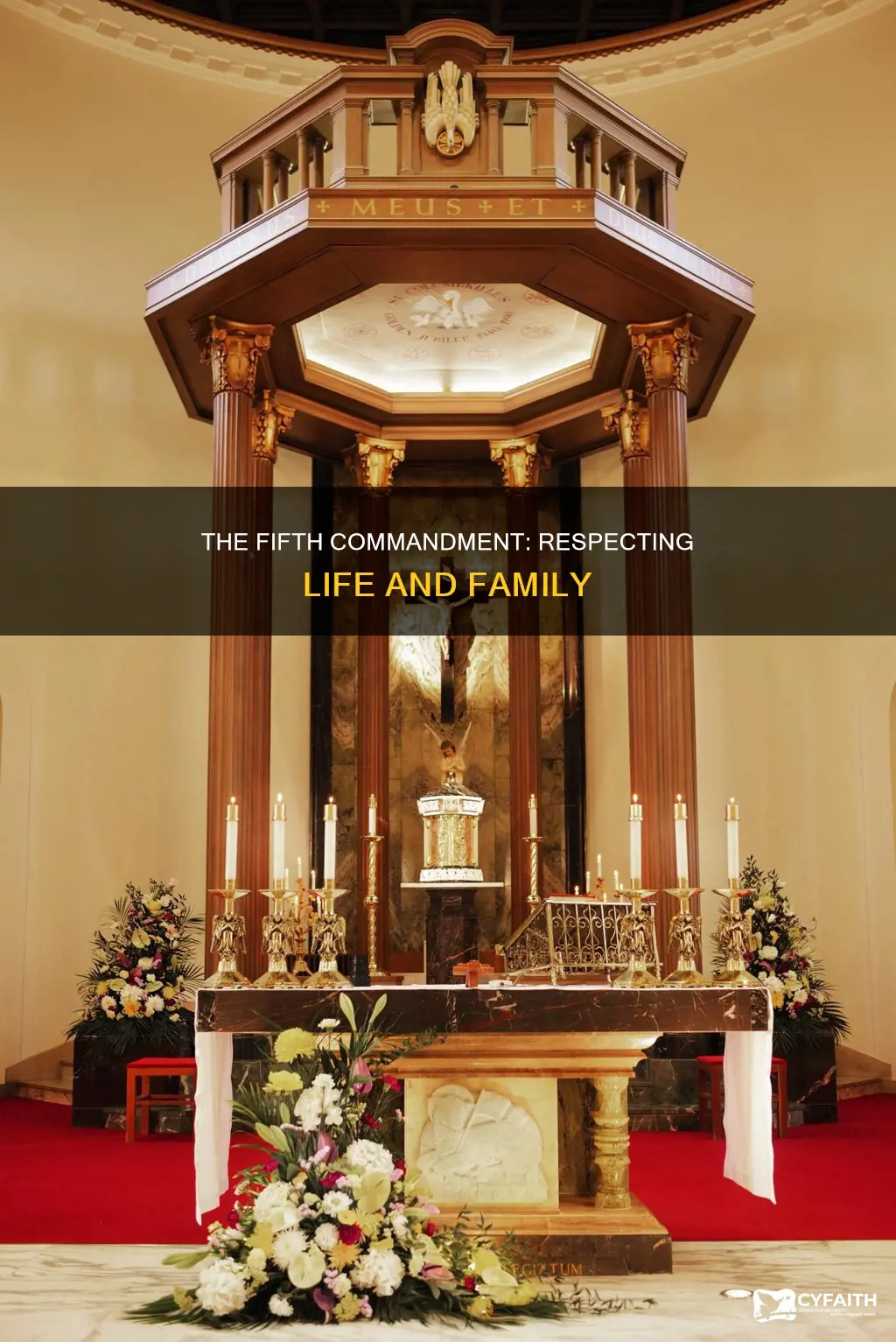 what is the 5th commandment catholic